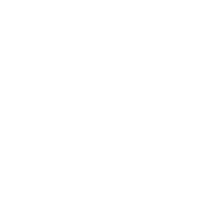 Nicolau.pro logo
